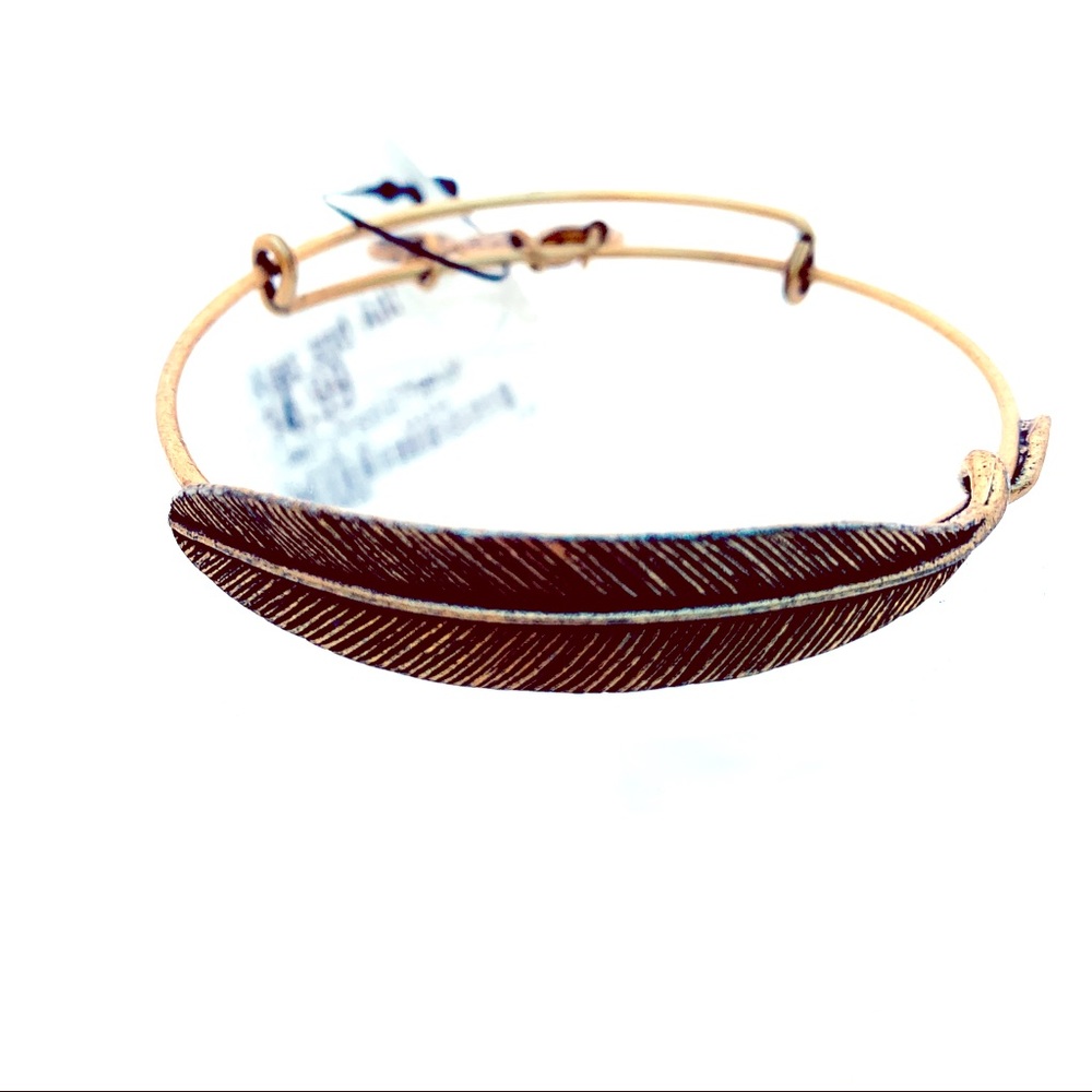 Alex and Ani Feather